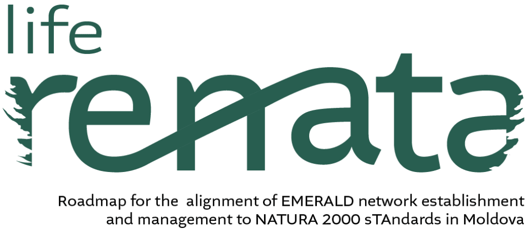 EU Project - Logo 3